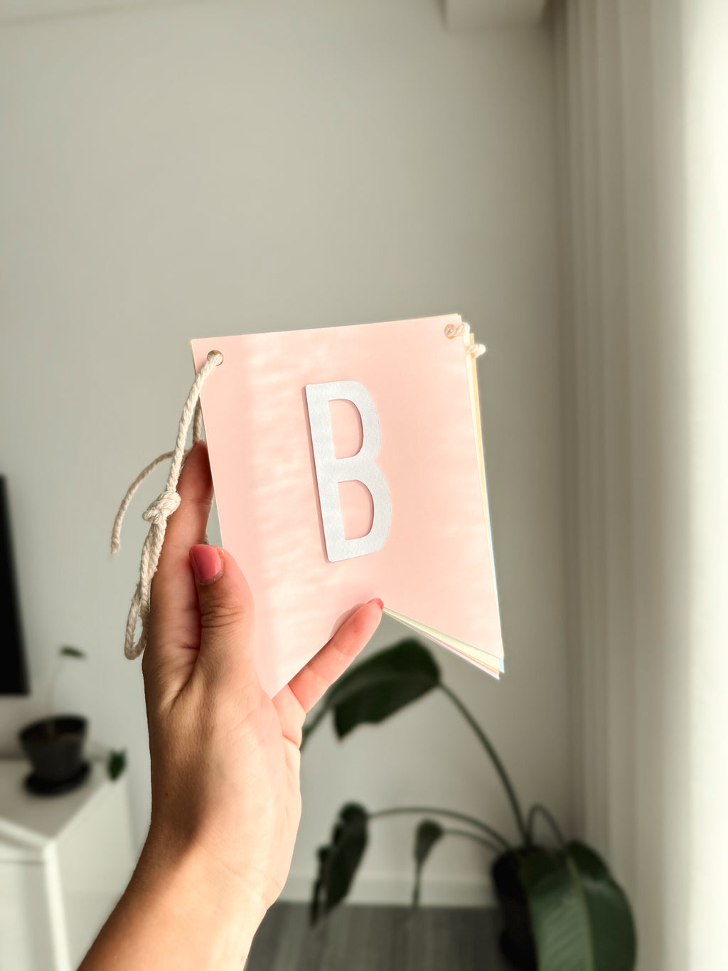 Arco íris minimal | Bandeirola nome