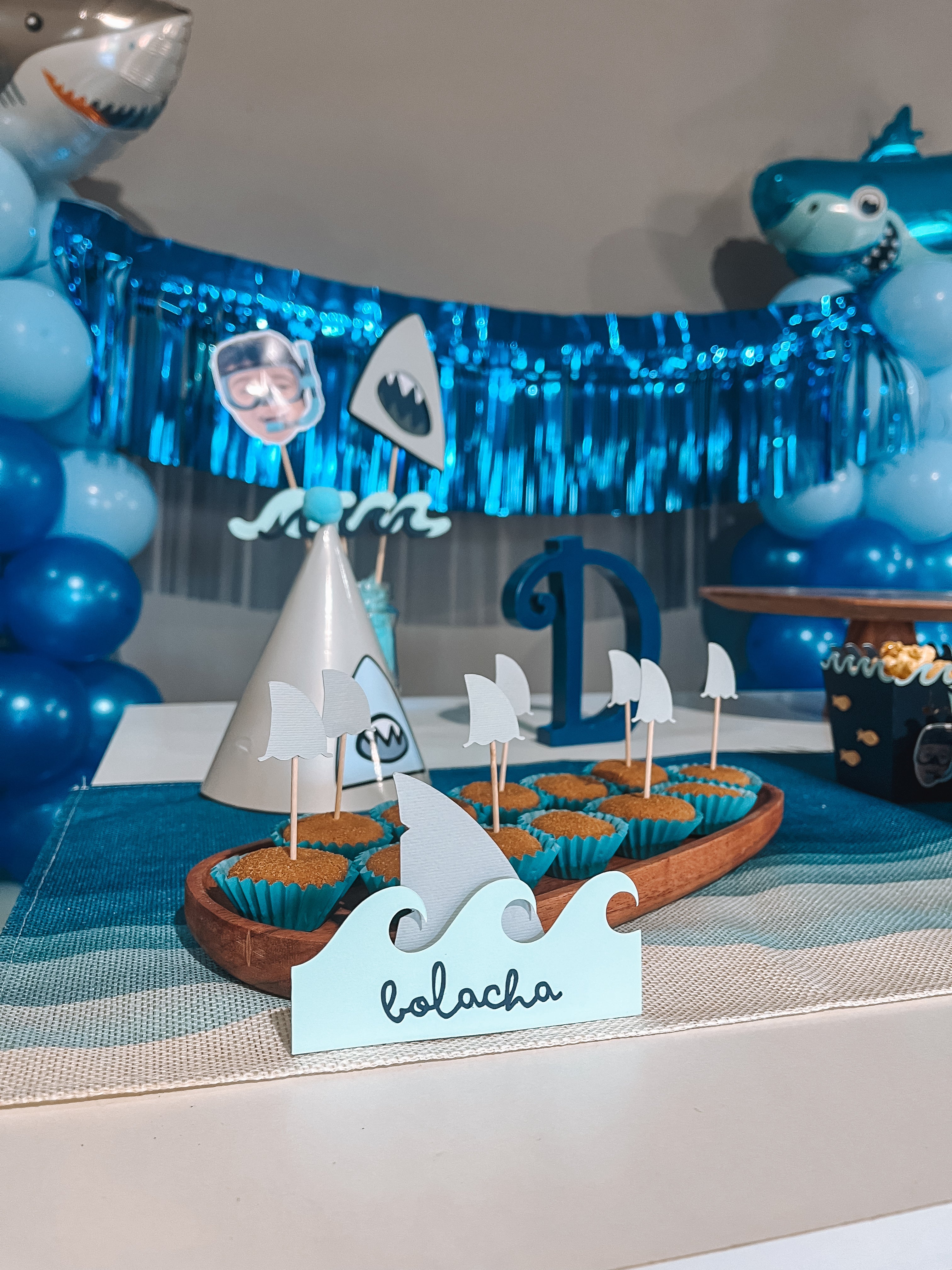 Tubarão | Placas identificadoras