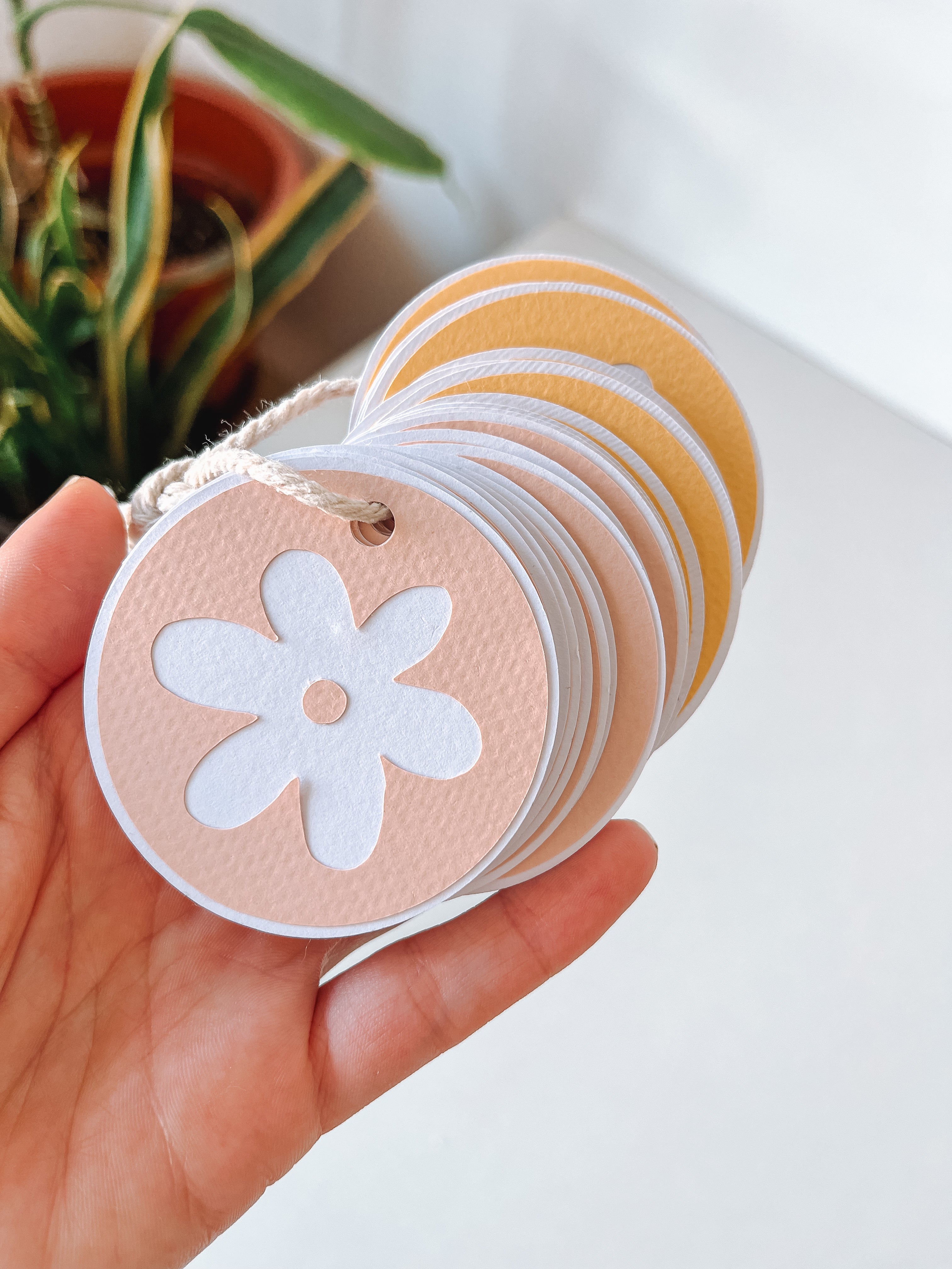 Margaridas | Tags ofertas