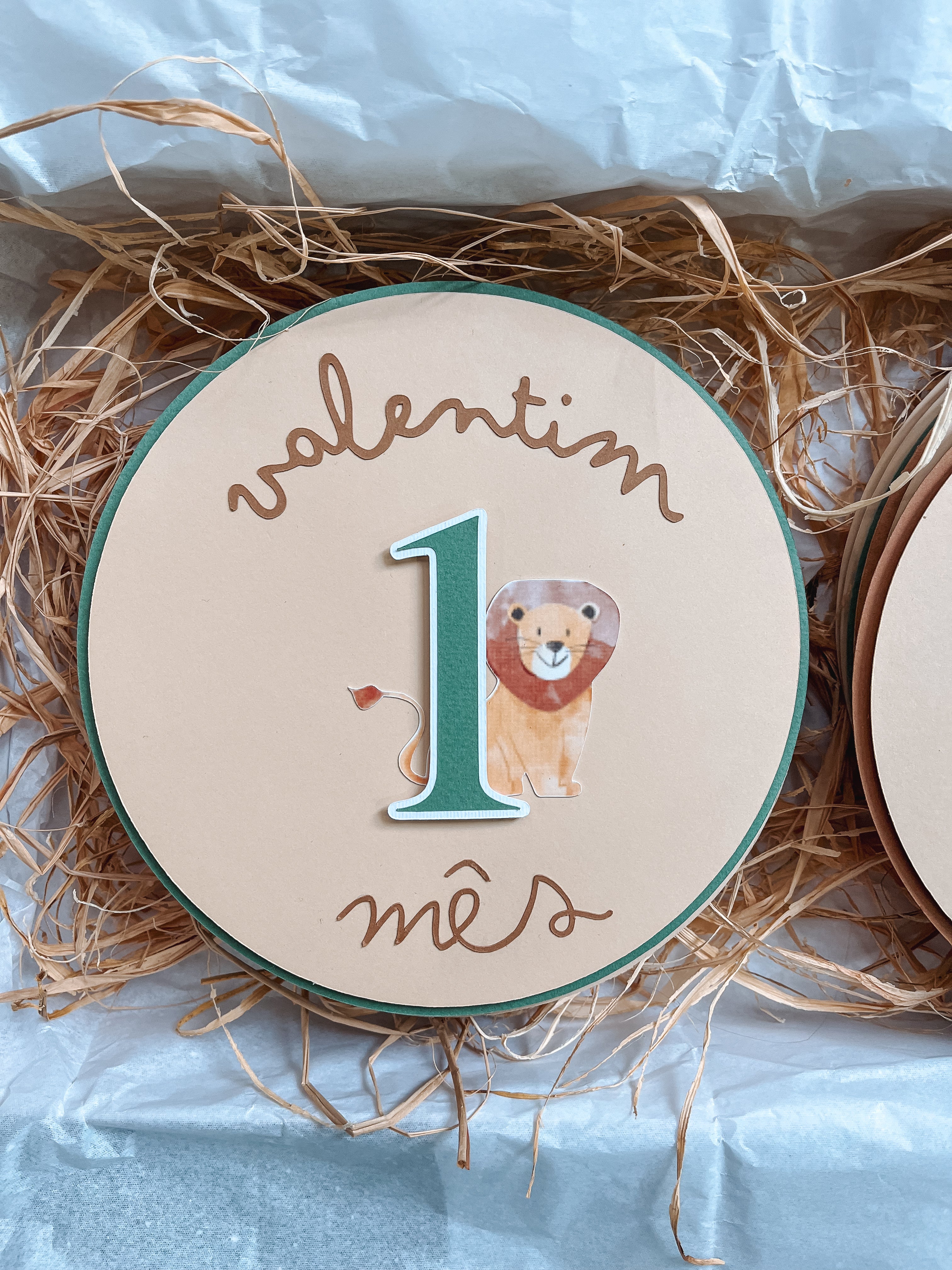 Animais | Placas mesaniversário