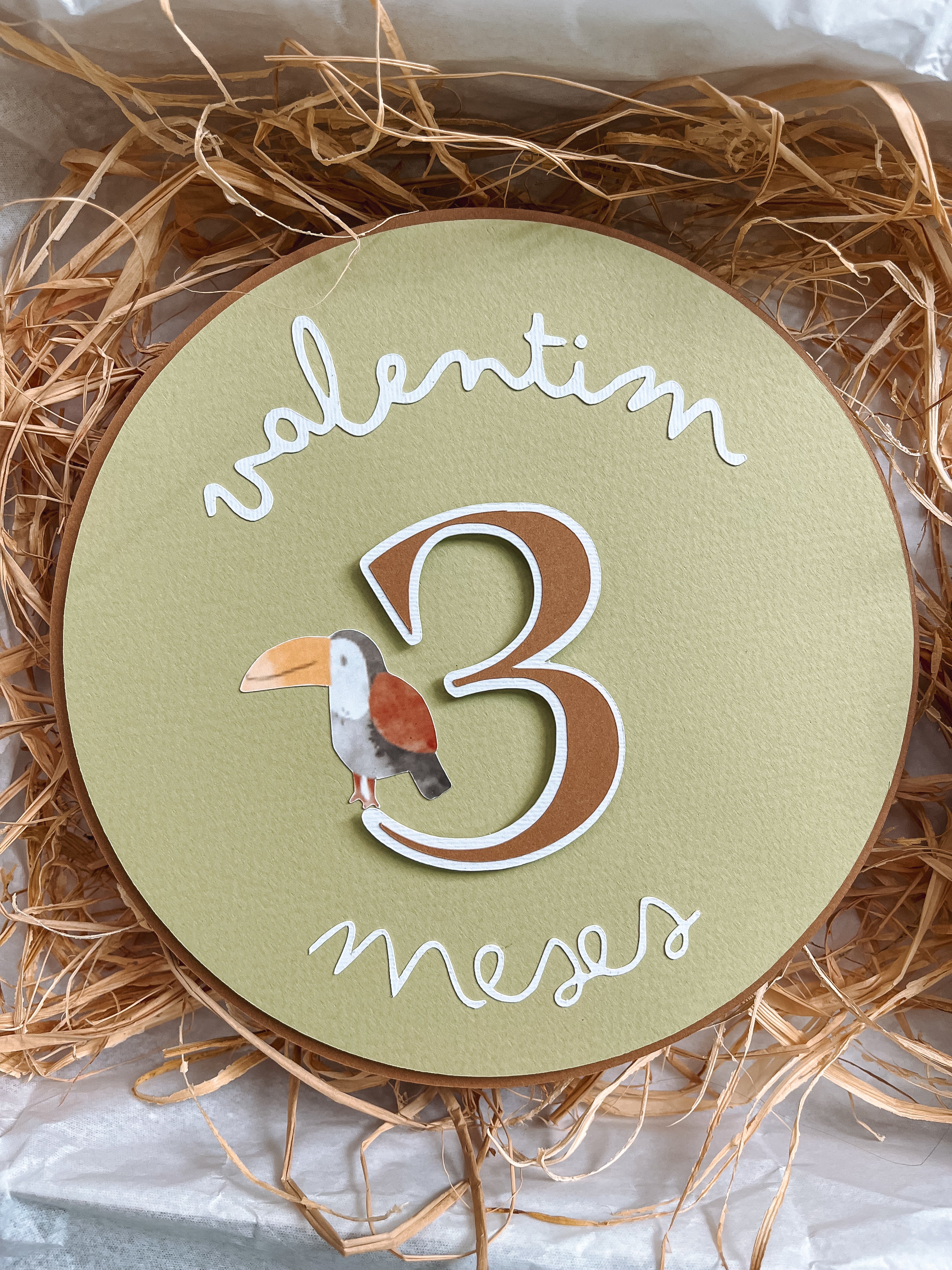 Animais | Placas mesaniversário