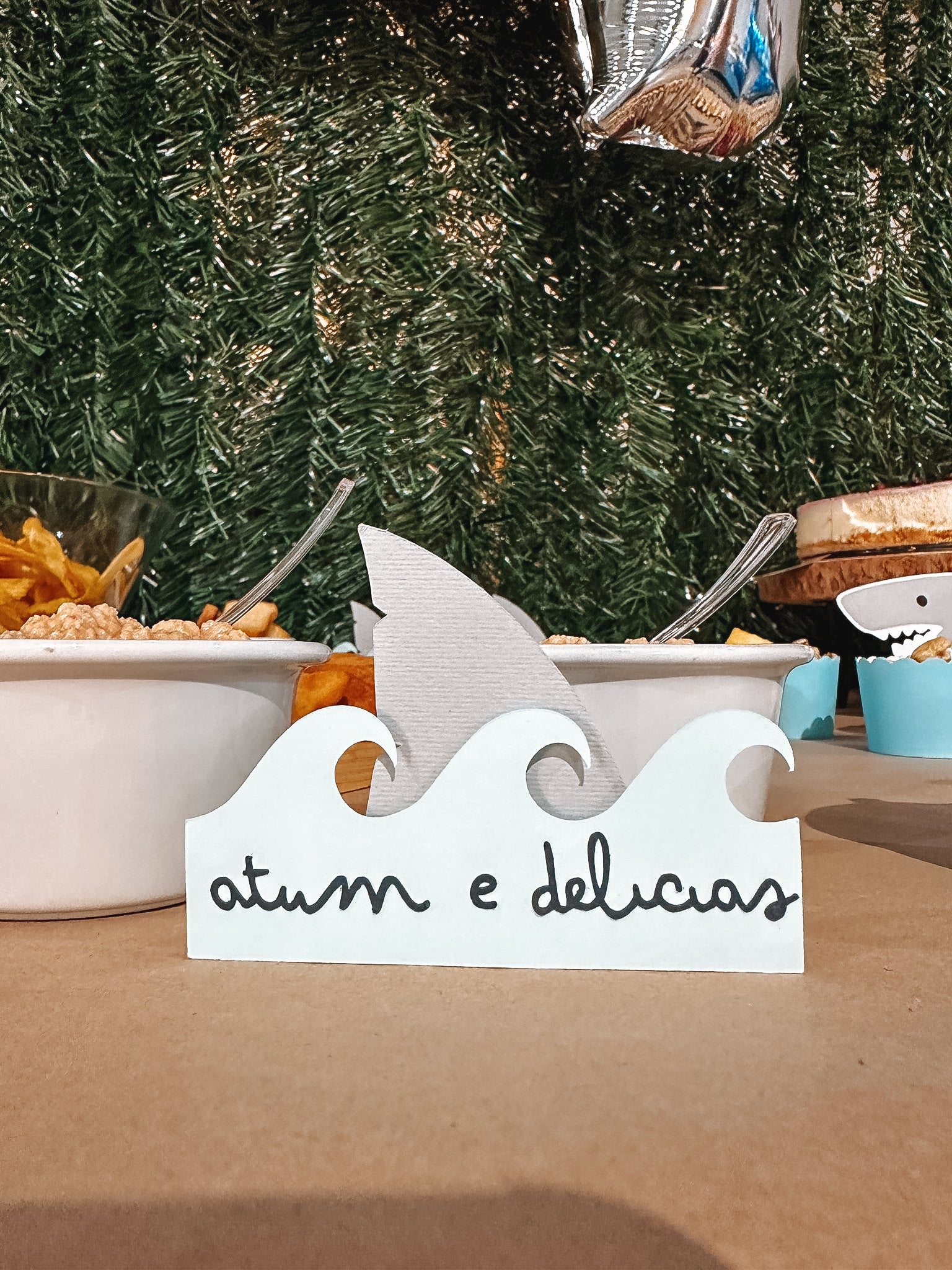 Tubarão | Placas identificadoras