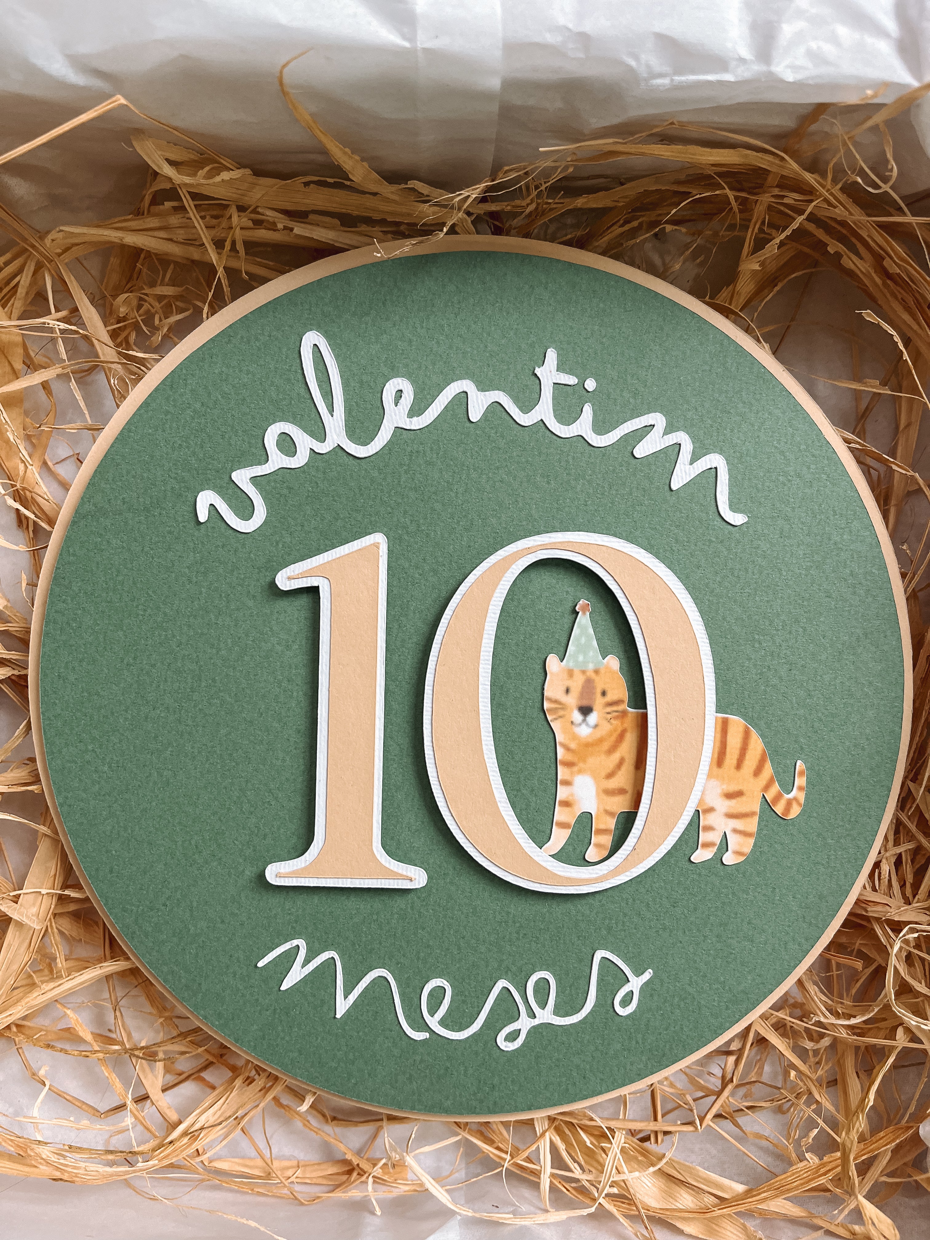 Animais | Placas mesaniversário
