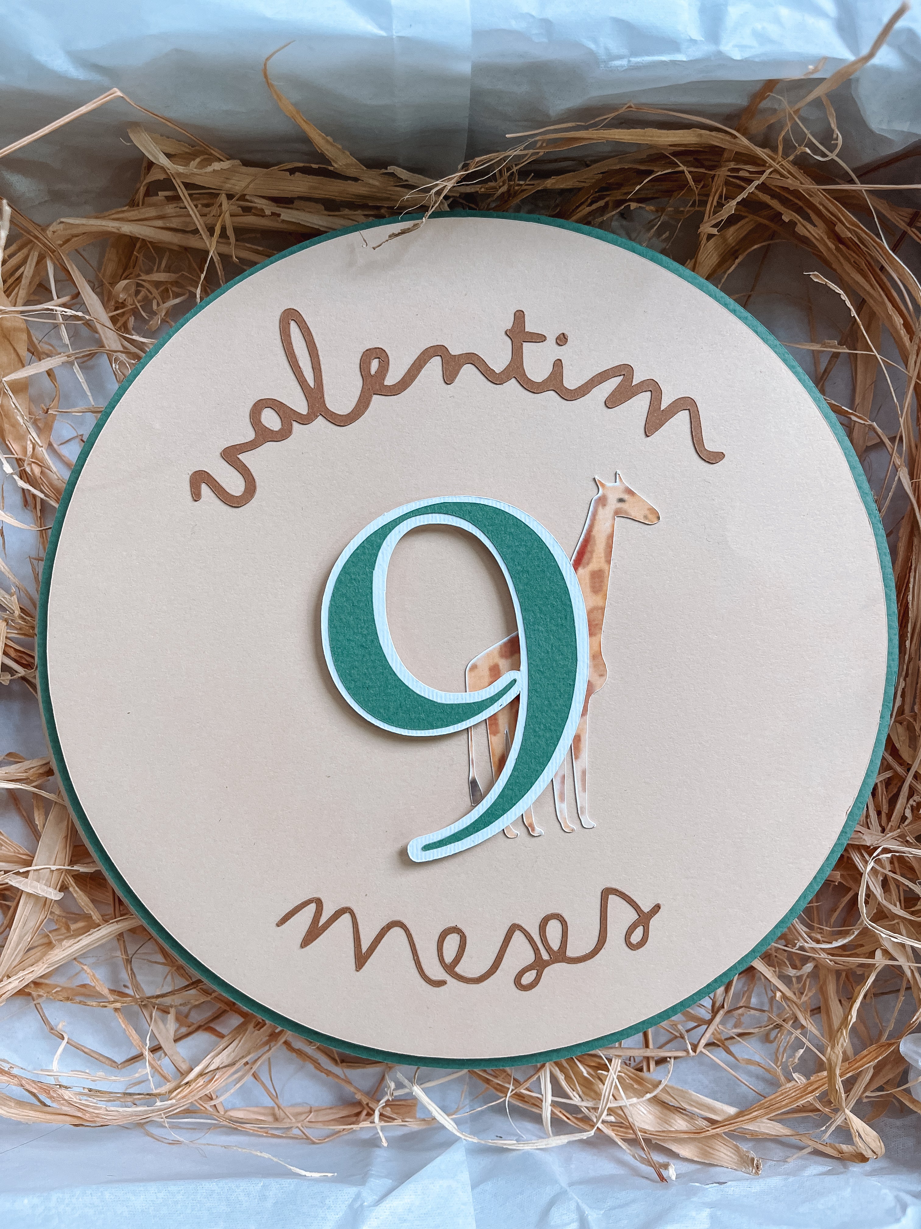 Animais | Placas mesaniversário