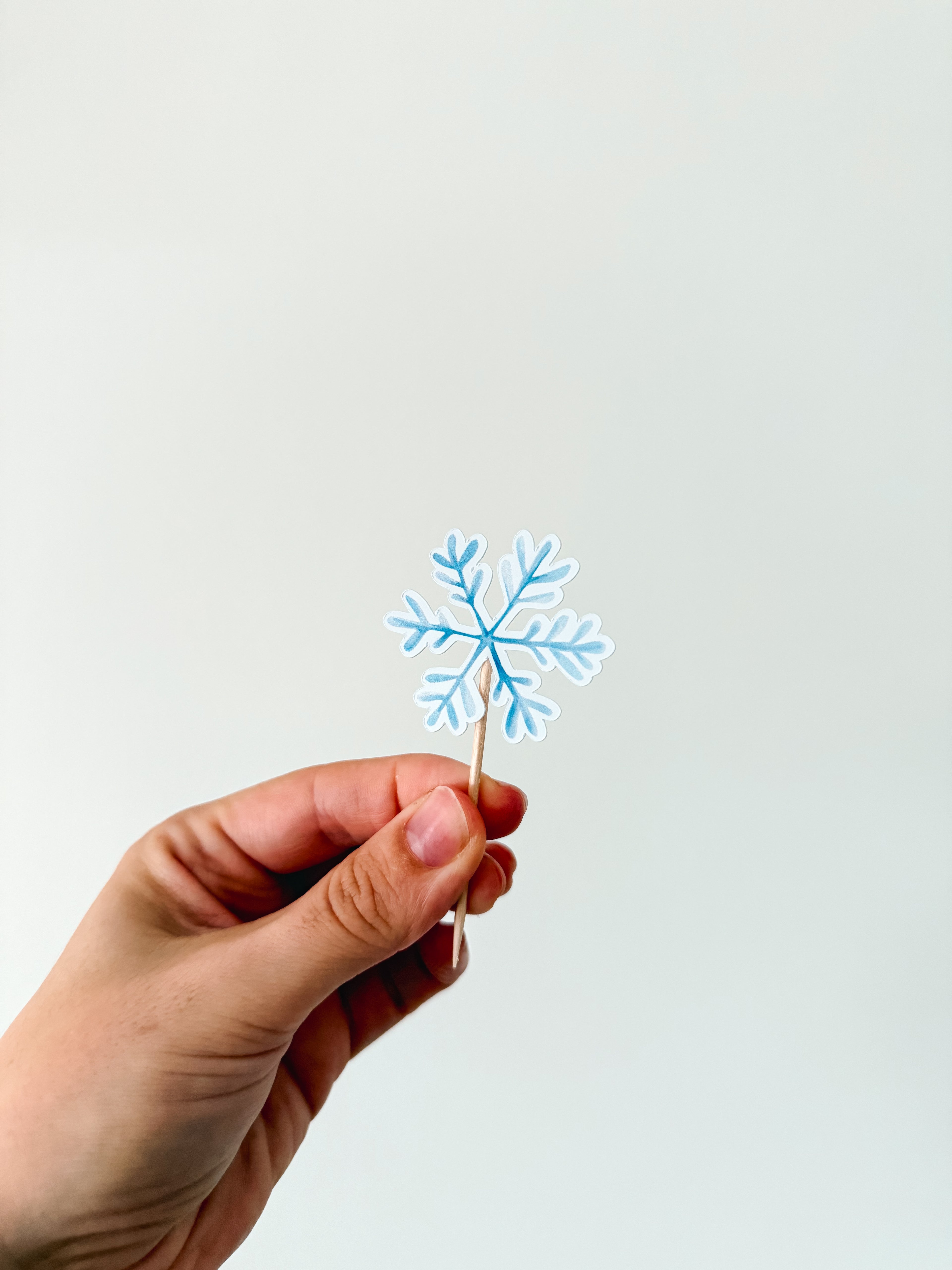 Princesas do Inverno| Mini toppers tema