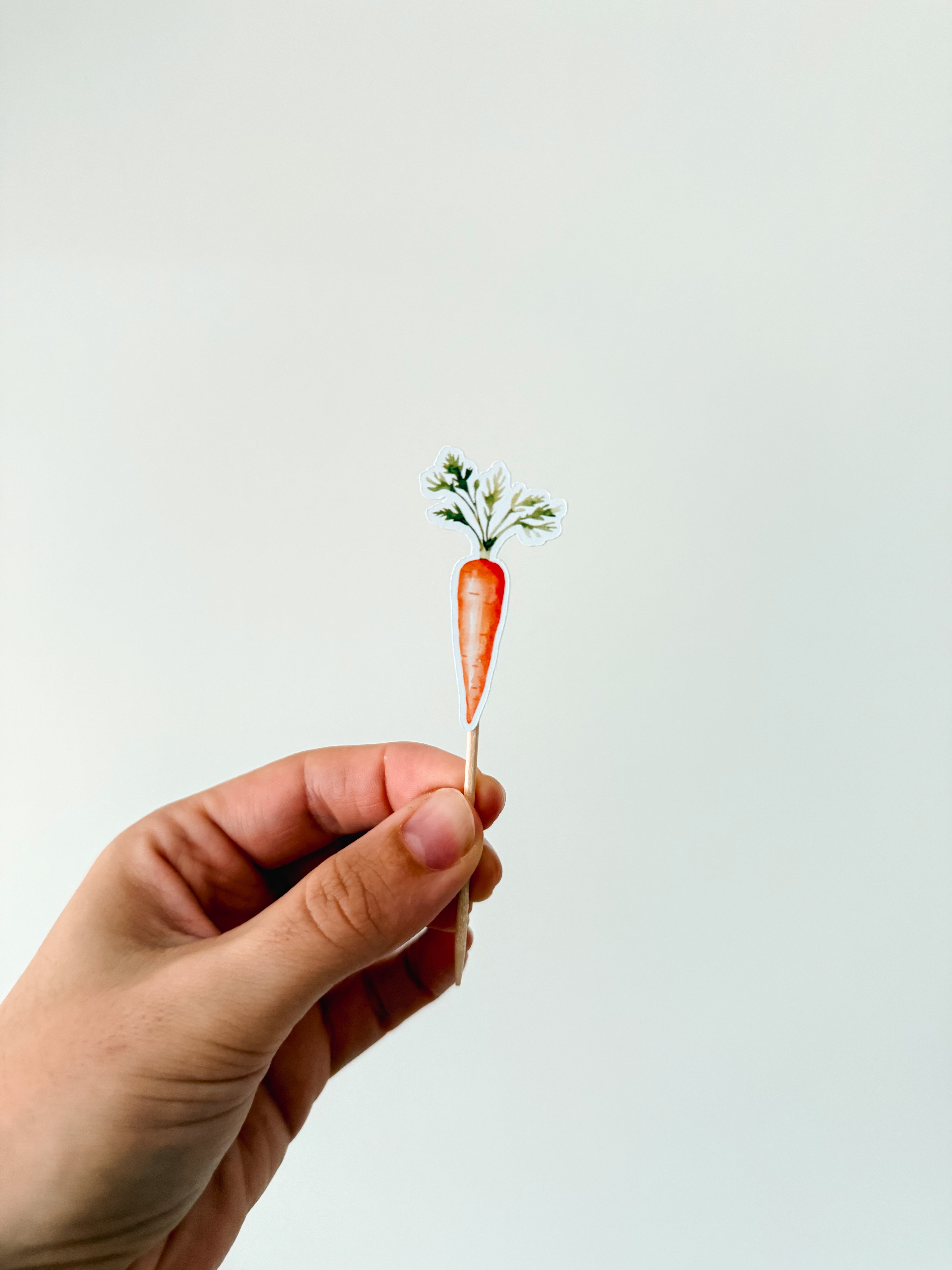 Princesas do Inverno| Mini toppers tema