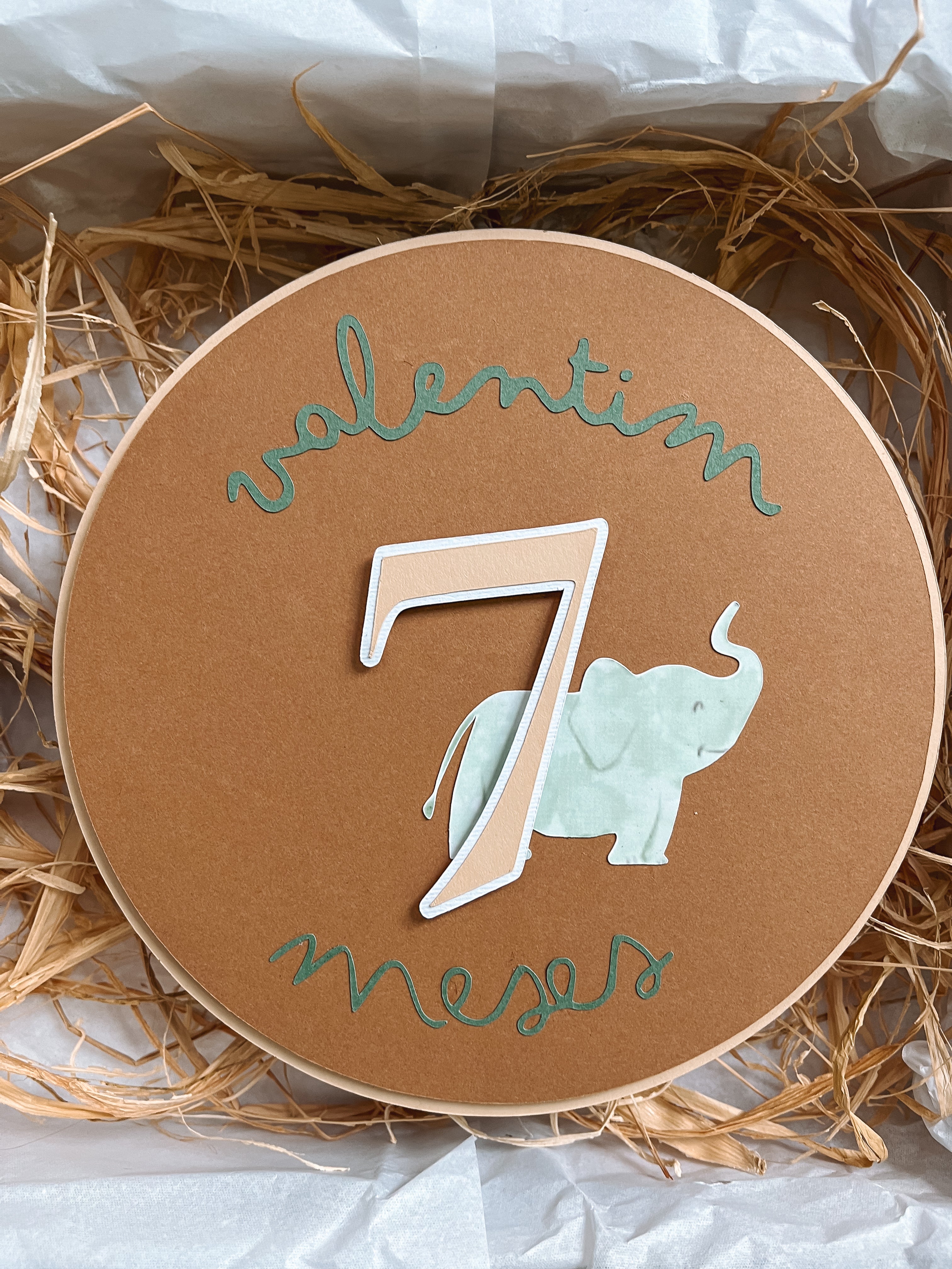 Animais | Placas mesaniversário