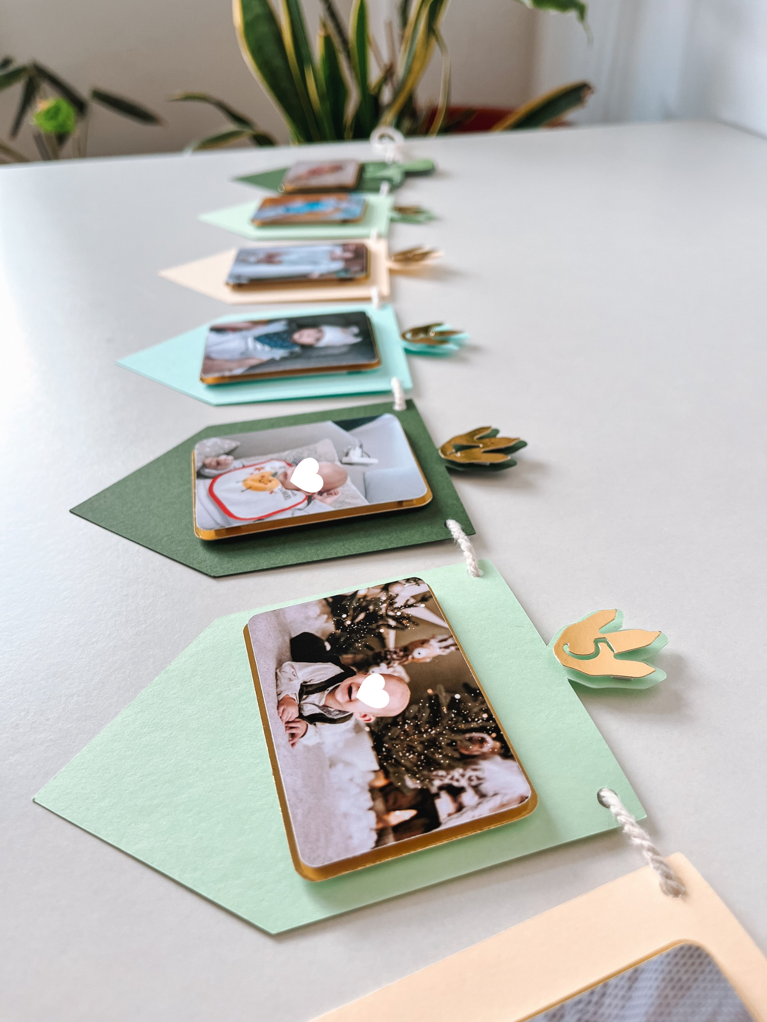 Dinossauros felizes | Bandeirola fotos