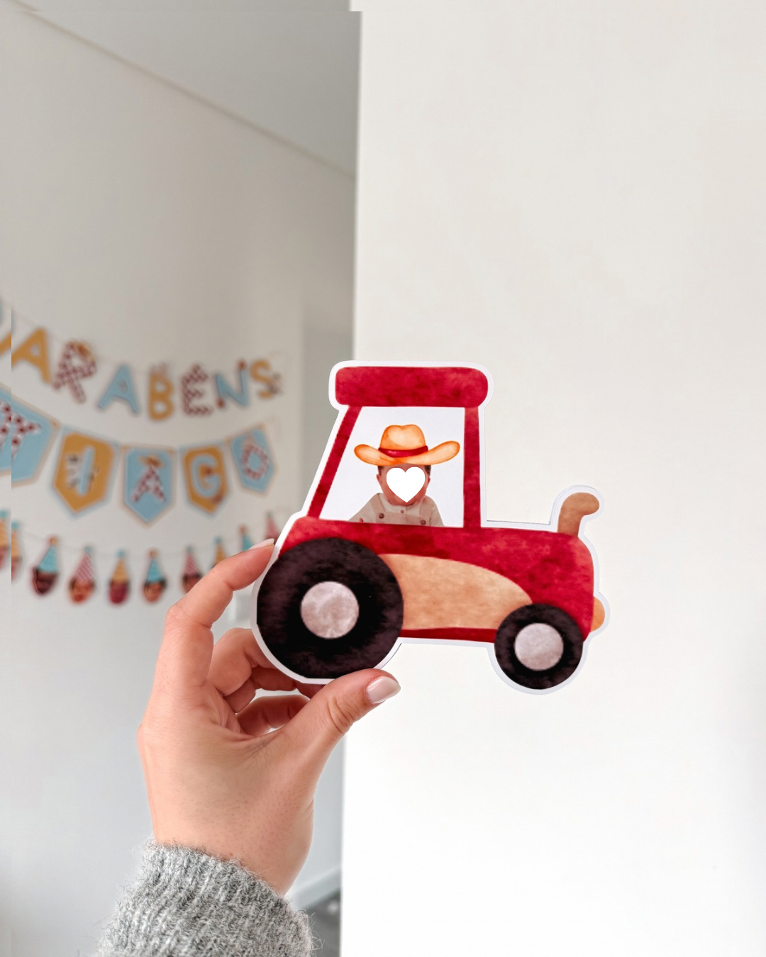 Animais da quinta | Elementos decorativos